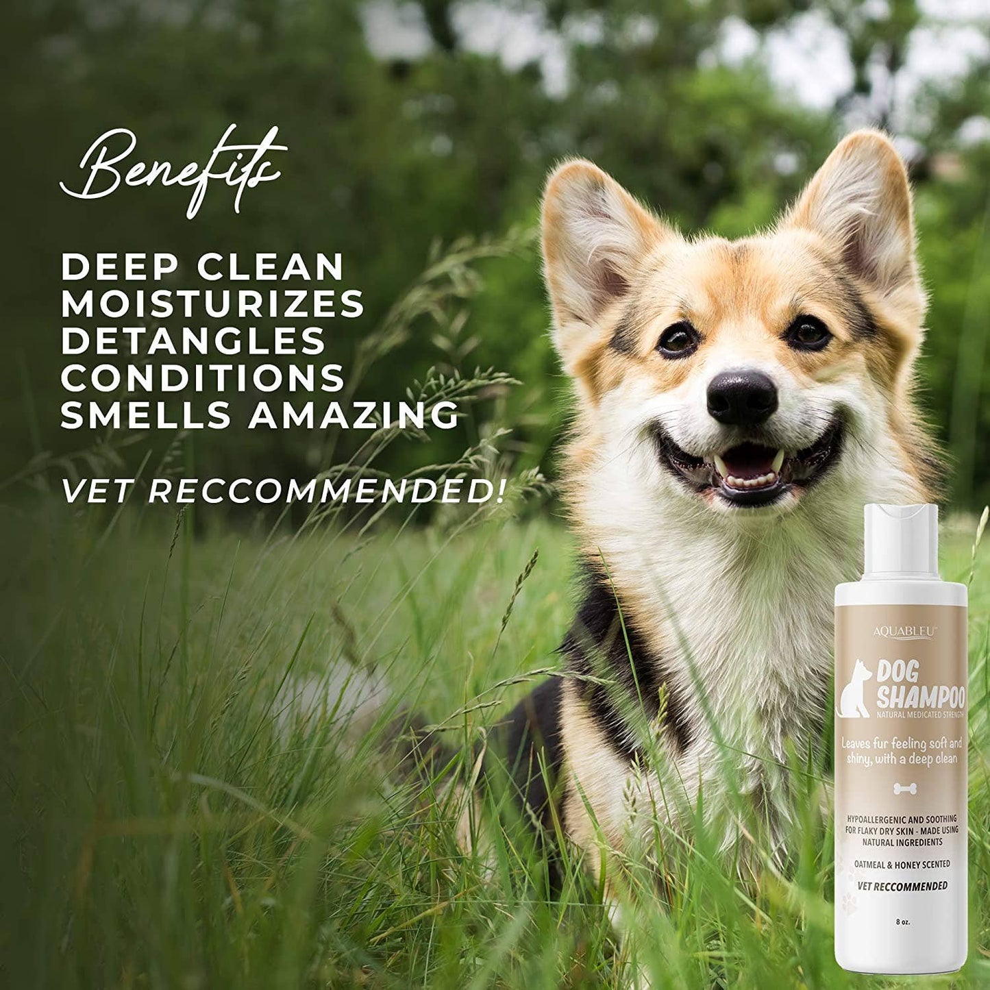 Oatmeal and Honey Dog Shampoo