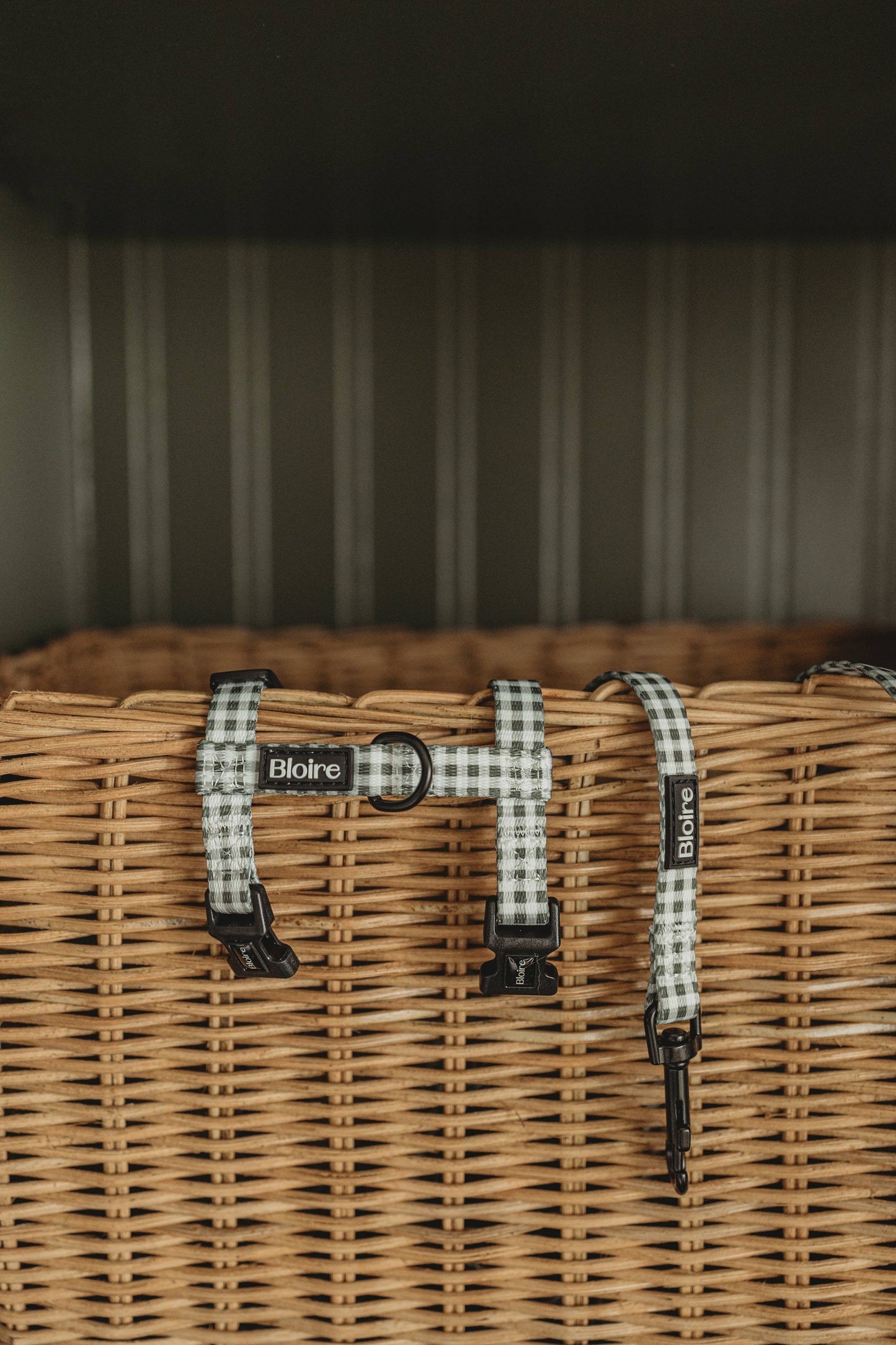 Walk Kit Lavender Plaid