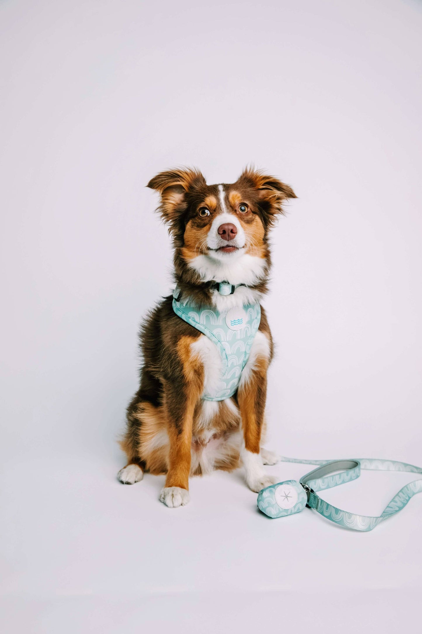 Indio Dog Harness: Large