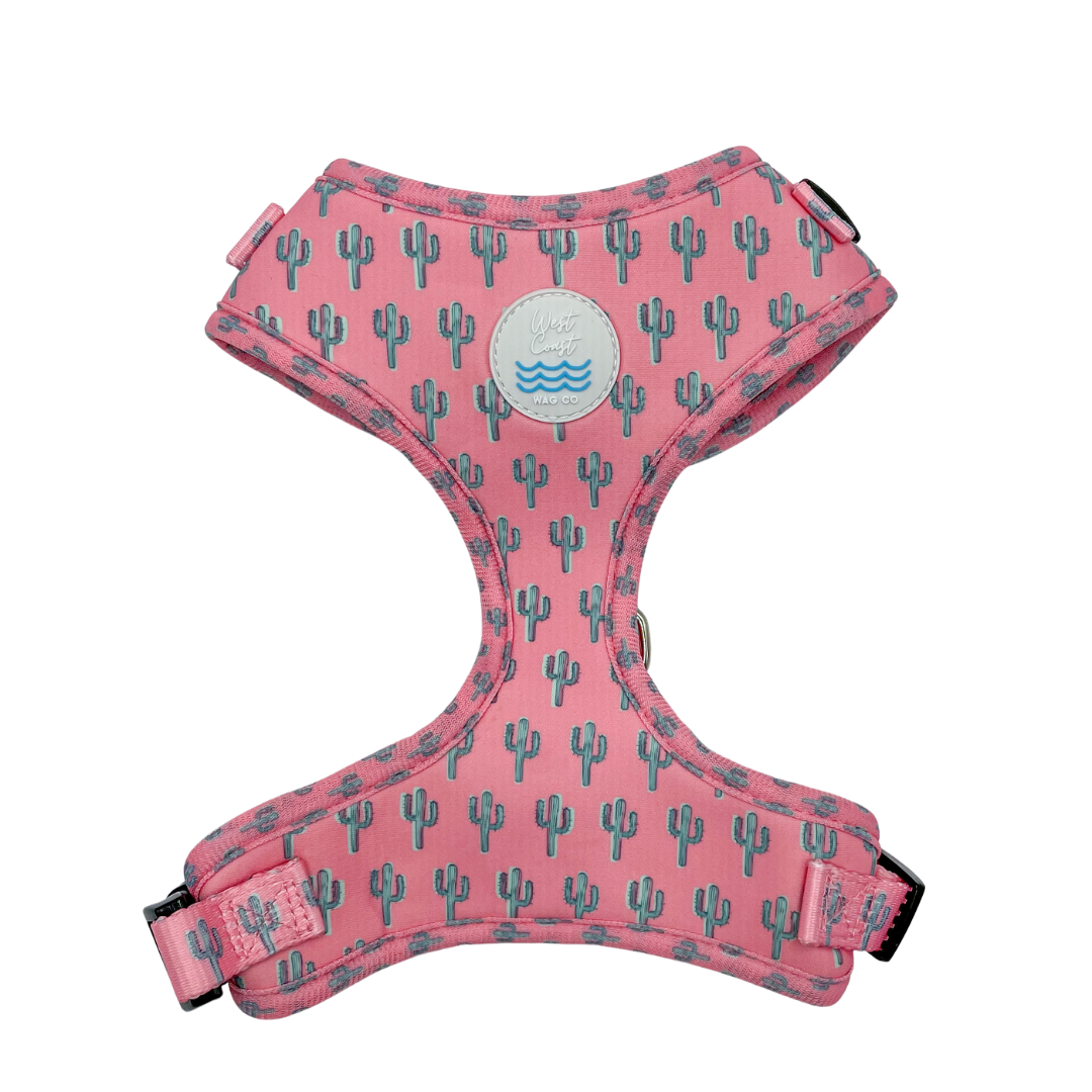 Palm Springs Harness: Medium