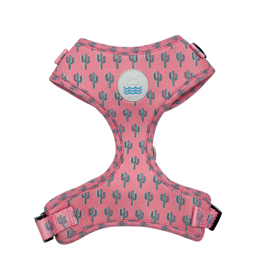 Palm Springs Harness: Medium